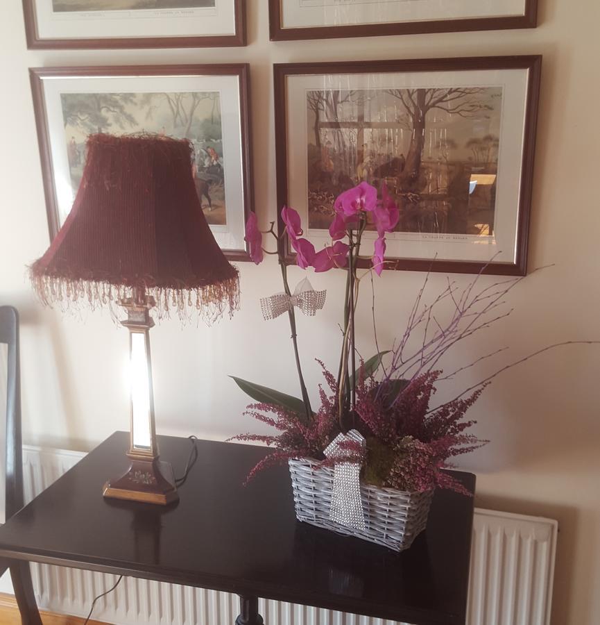Ely House B&B Shannonbridge Екстер'єр фото