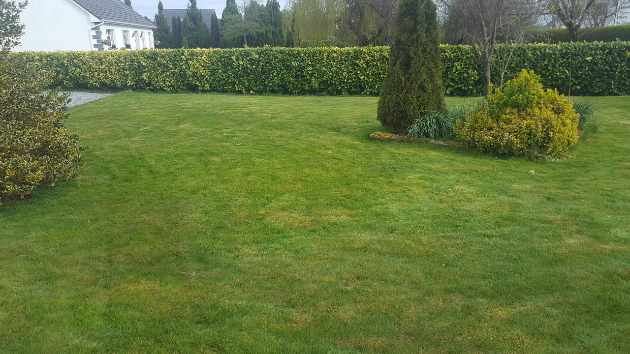 Ely House B&B Shannonbridge Екстер'єр фото