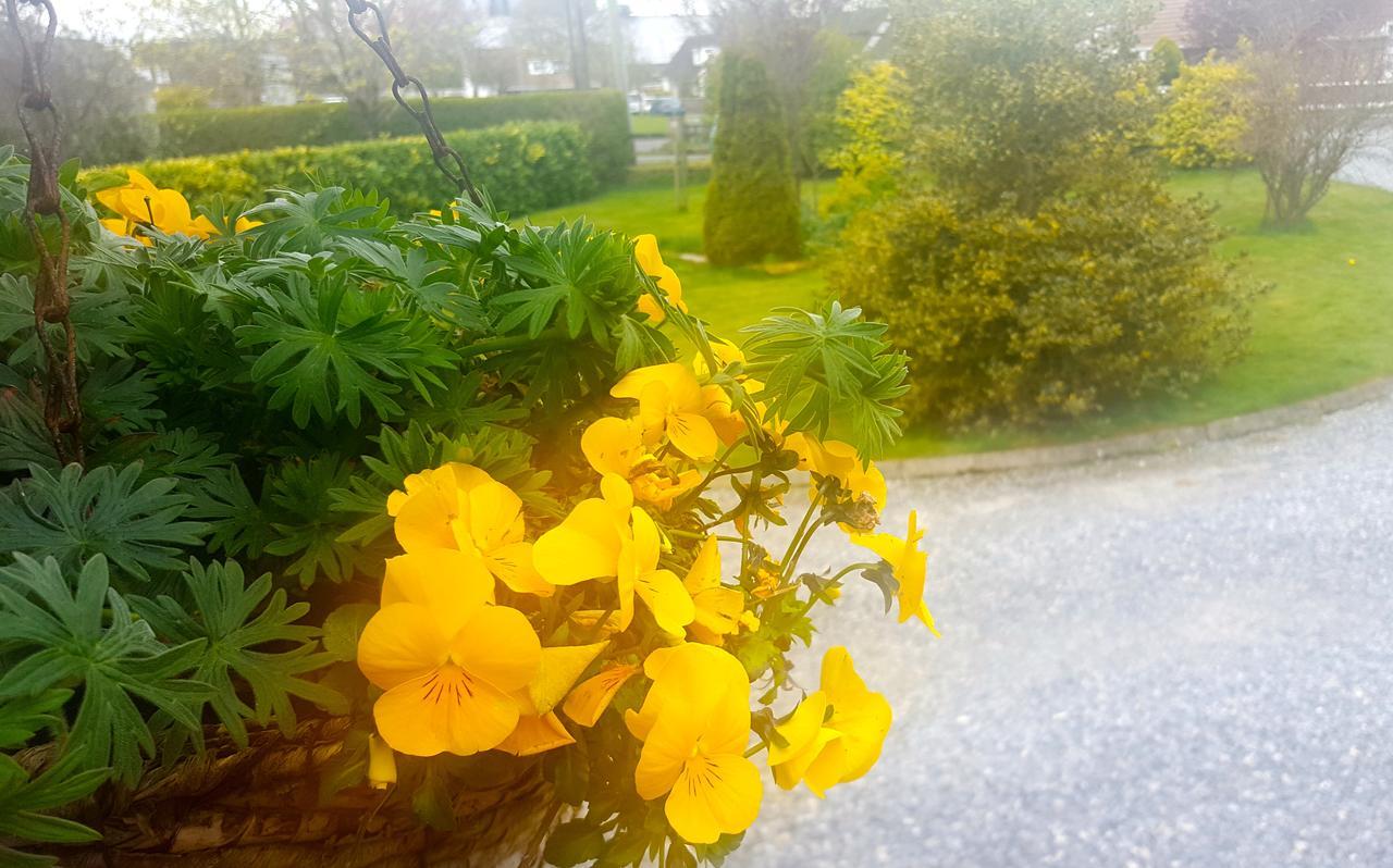 Ely House B&B Shannonbridge Екстер'єр фото