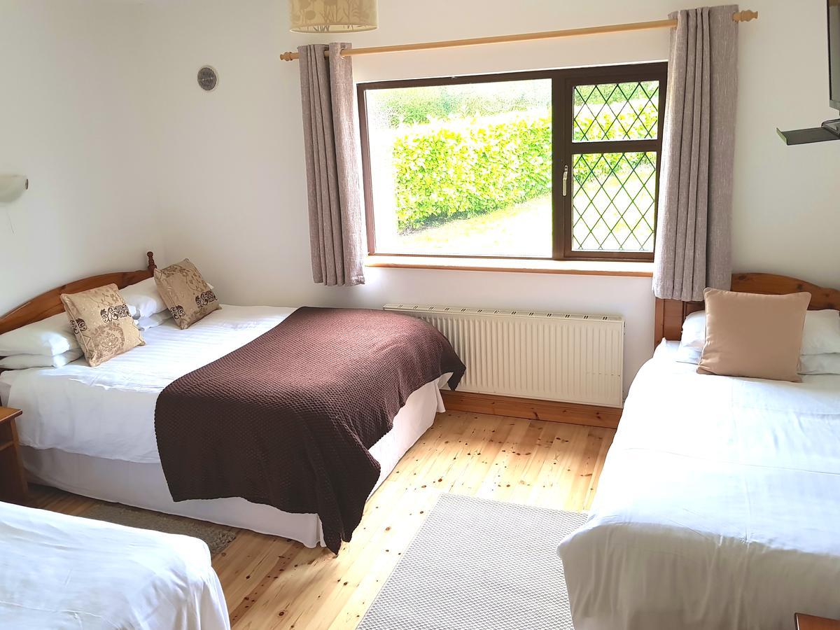 Ely House B&B Shannonbridge Екстер'єр фото